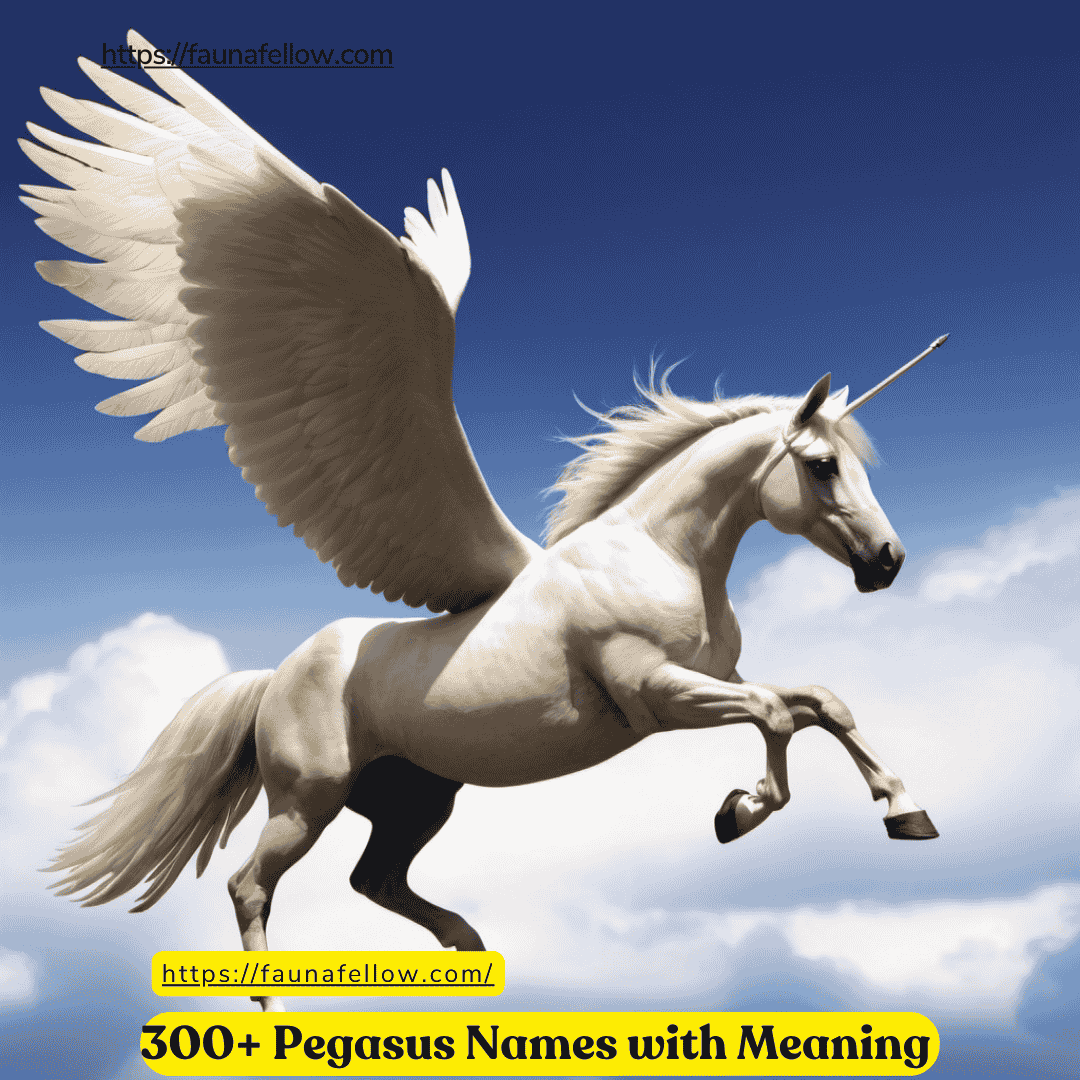 300+ Pegasus Names with Meaning