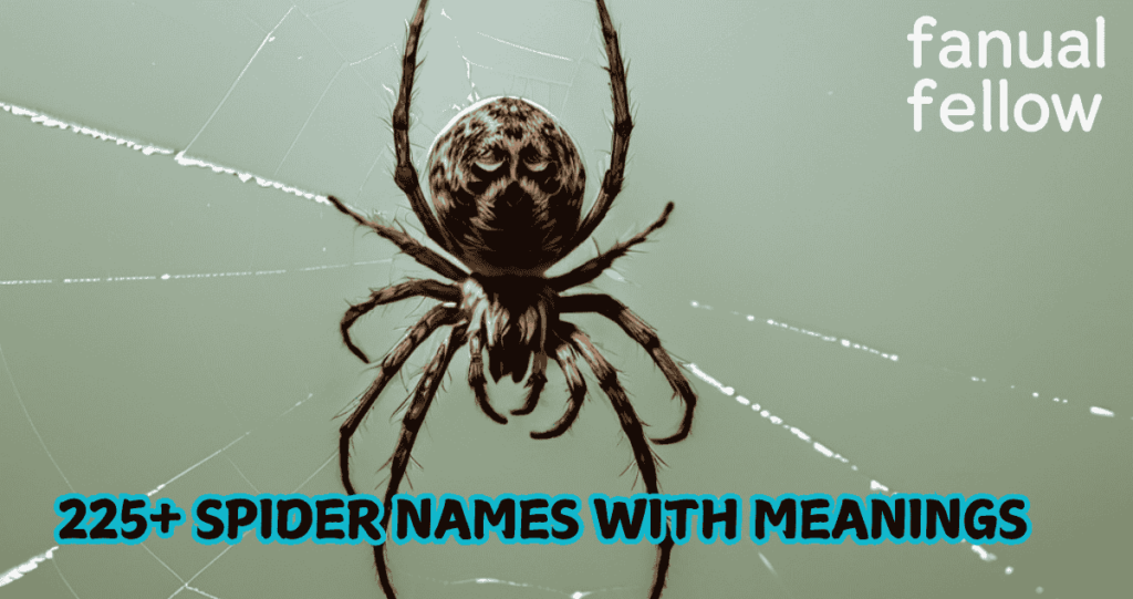 225+ Spider Names with Meanings