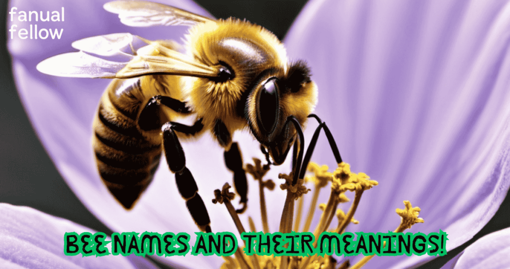 Bee Names and Their Meanings!