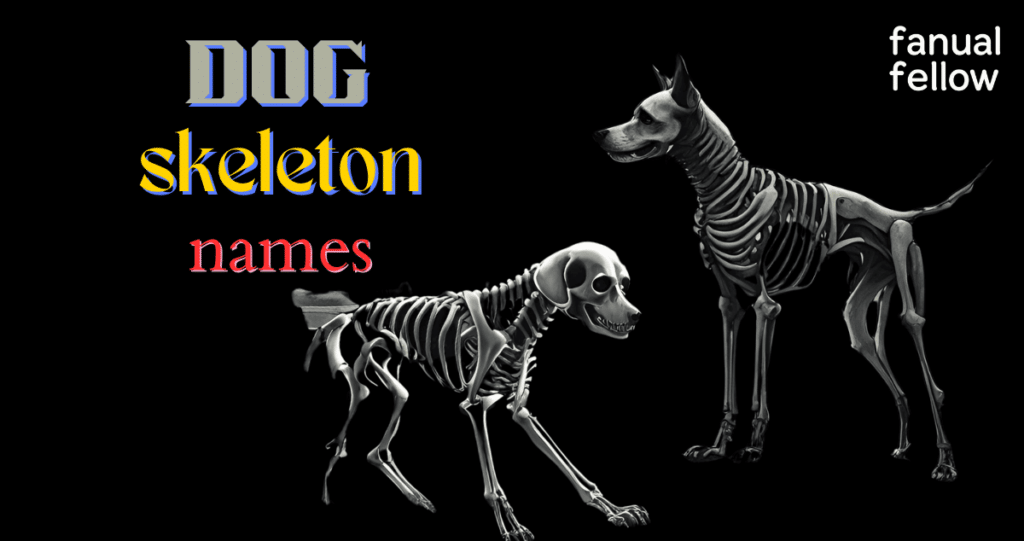 Skeleton Dog names with meanings