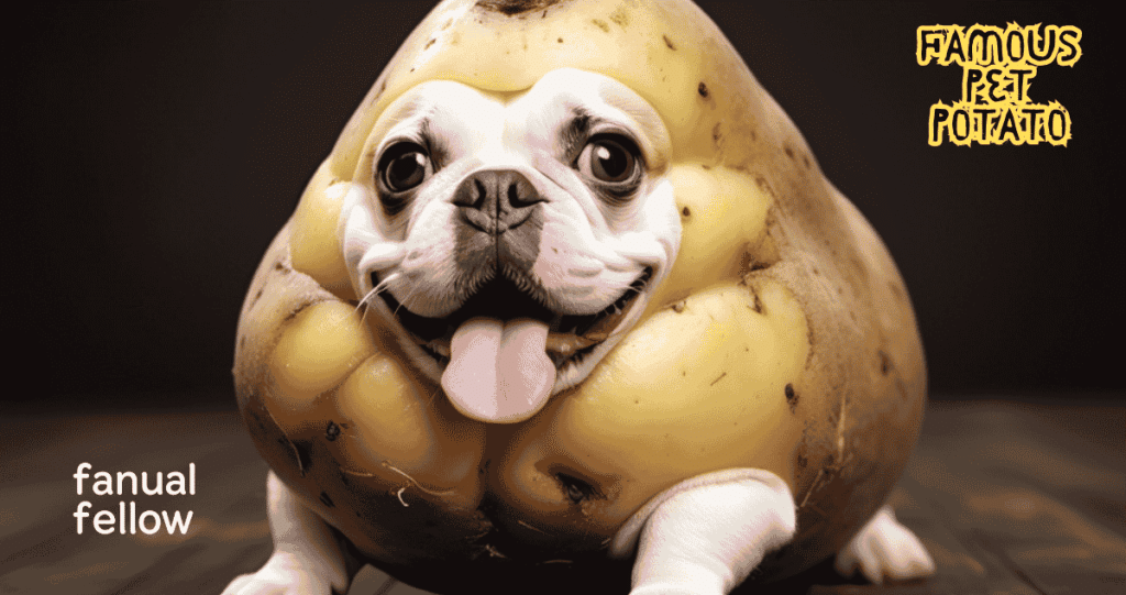 Famous pet Potato