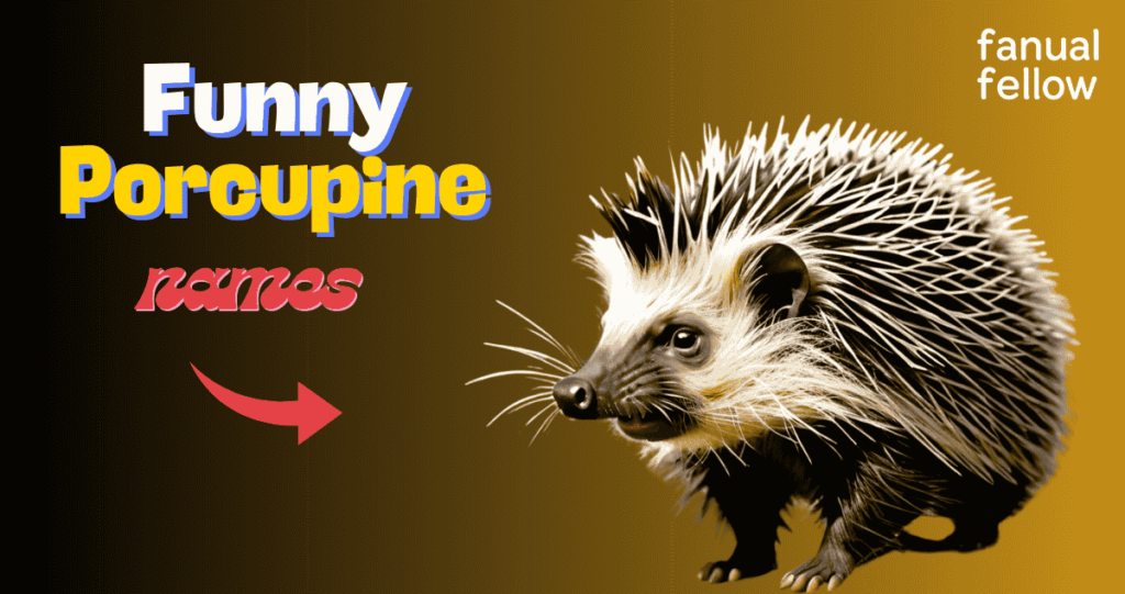 Funny Porcupine names