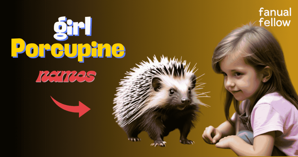 Girl Porcupine names