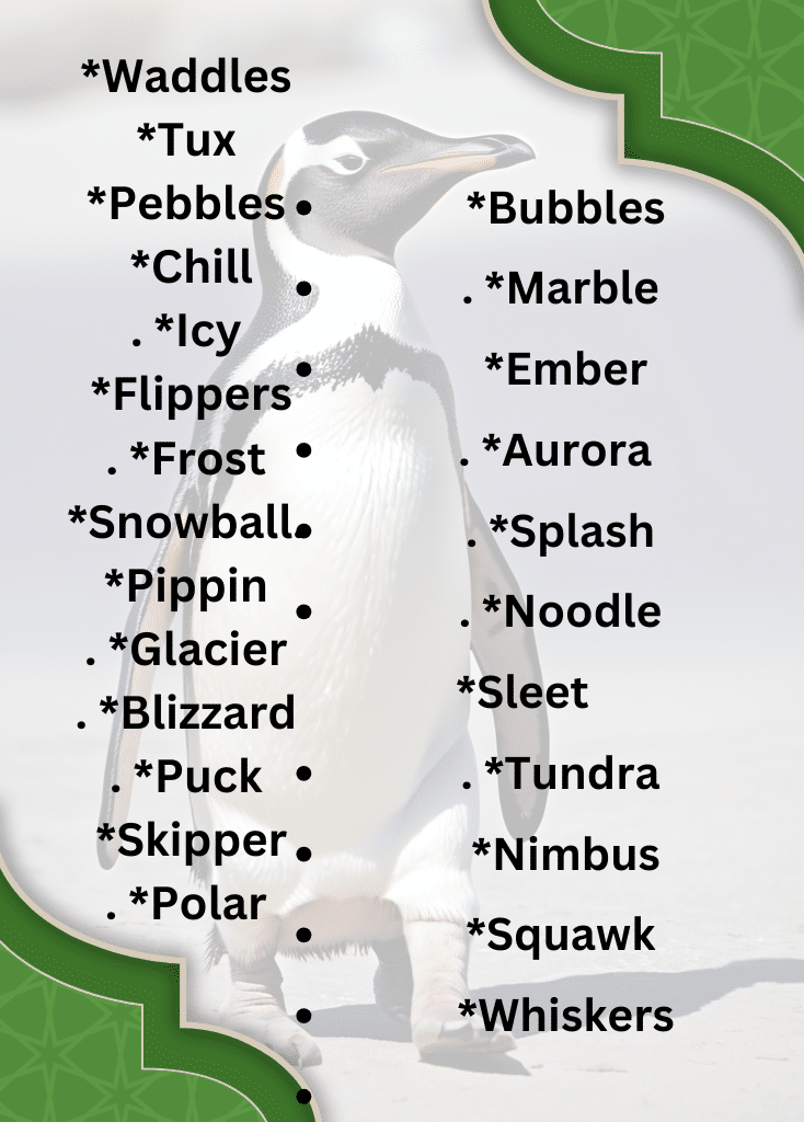 🌟 PENGUIN NAMES WITH MEANINGS 🌟