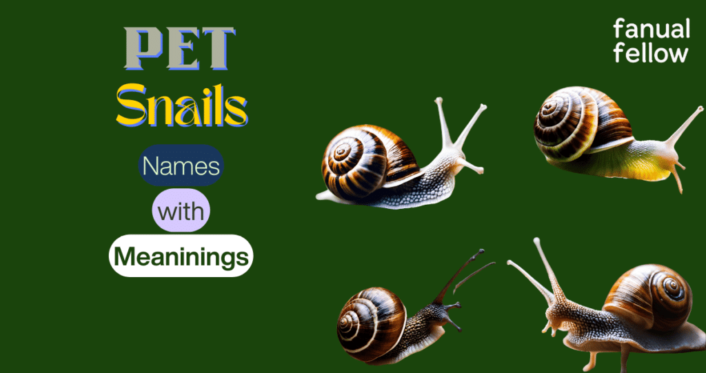 pet Snail names