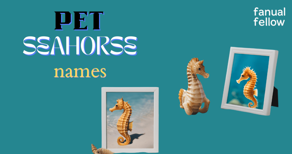 Pet Seahorse names with meanings