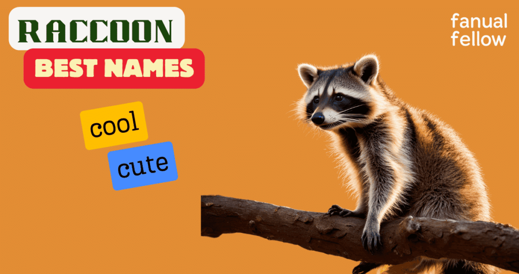 Best raccoon names with meanings