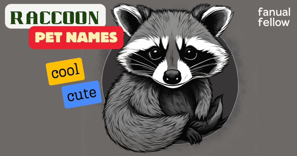 Raccoon Pet names with meanings