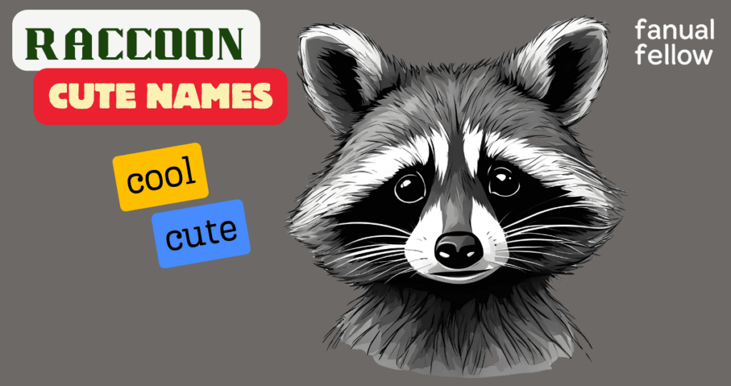 Racoon cute names with meanings