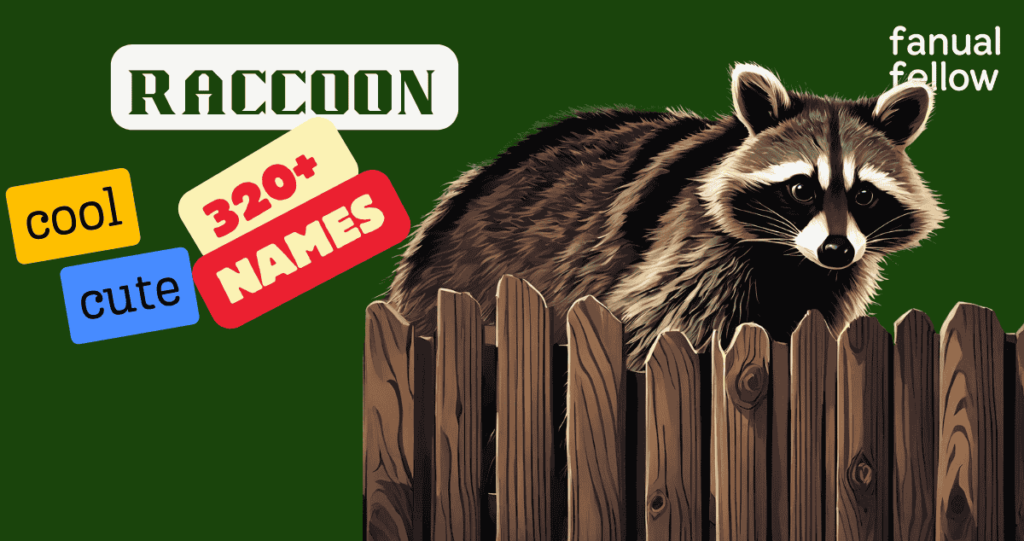 Cute & Cool racoon names with meanings