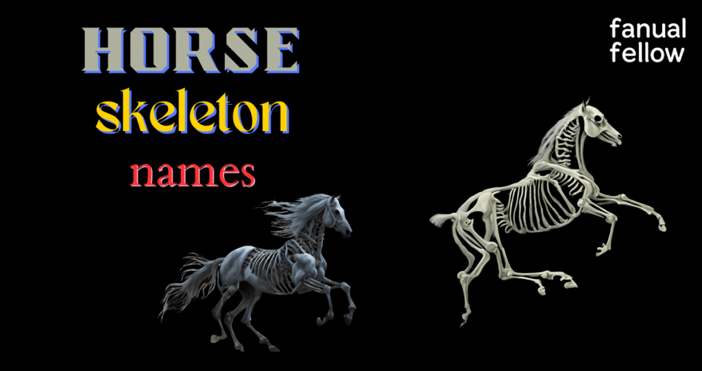 Skeleton Horse names with meanings