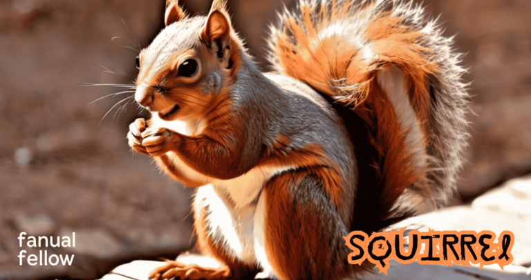 240+ Top Best Squirrel Names ( Unique, Catchy, Cute ) - Fauna Fellow