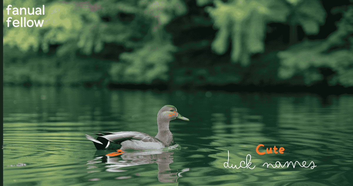 Cute duck names