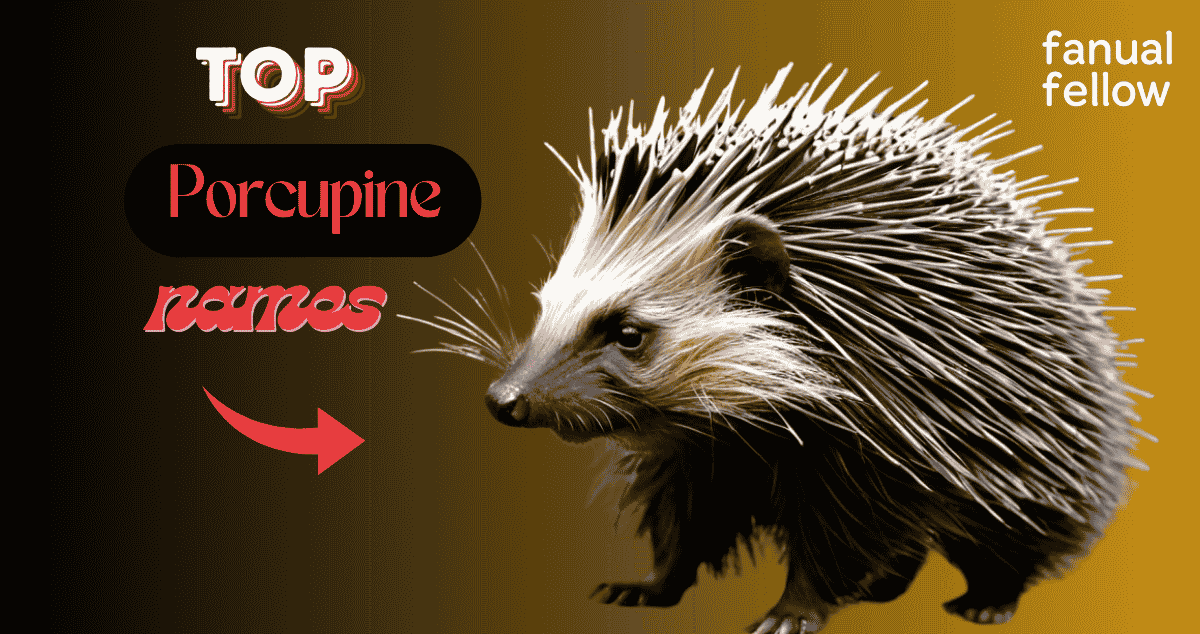 top Porcupine names