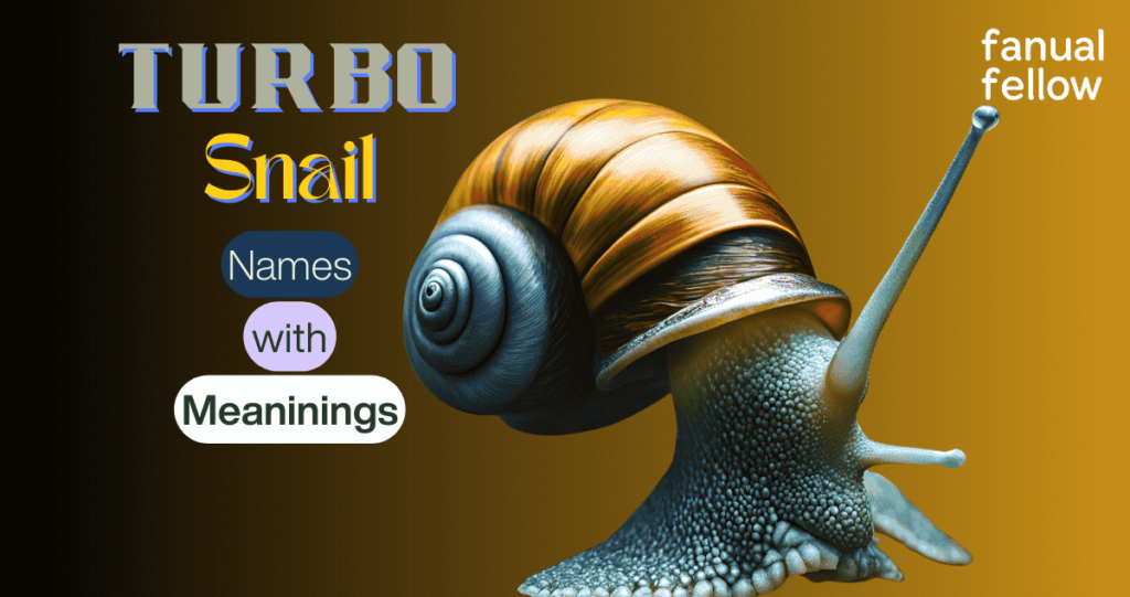 Turbo snail names