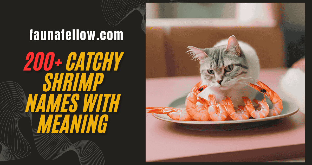 200+ Catchy Shrimp Names With meaning