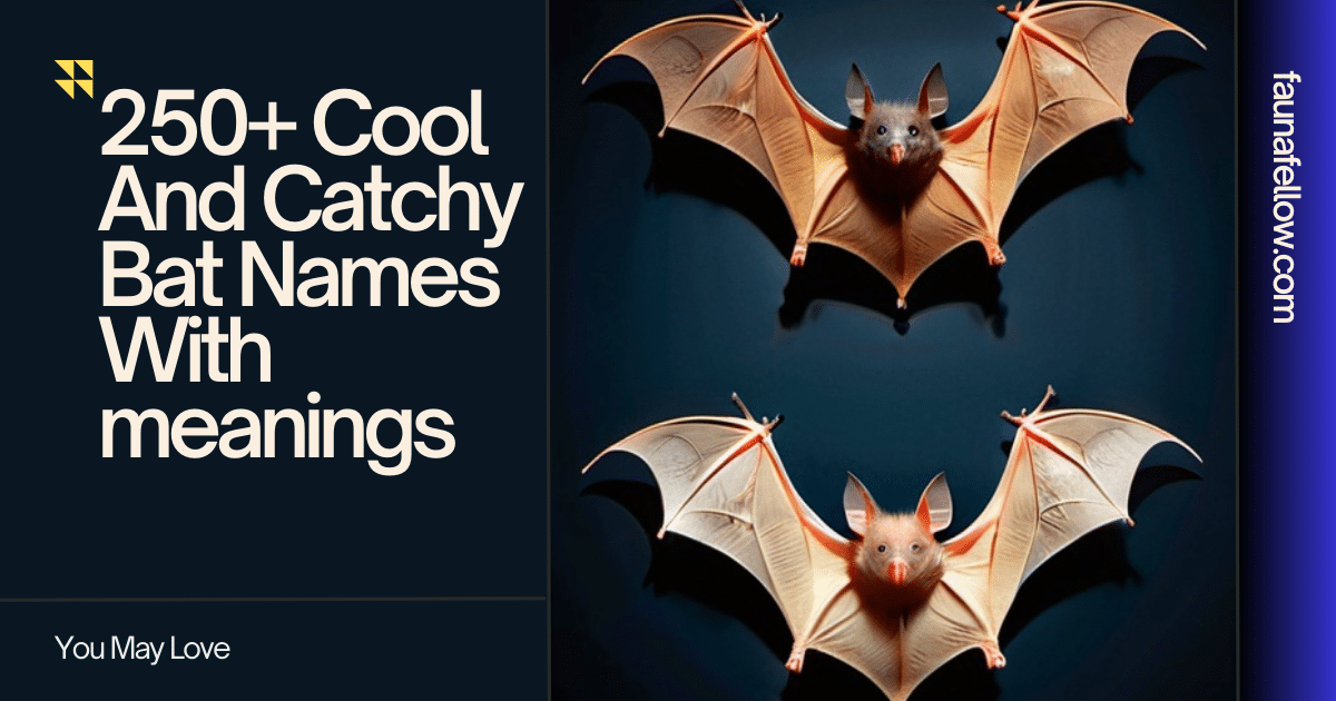 250+ Cool And Catchy Bat Names With meanings