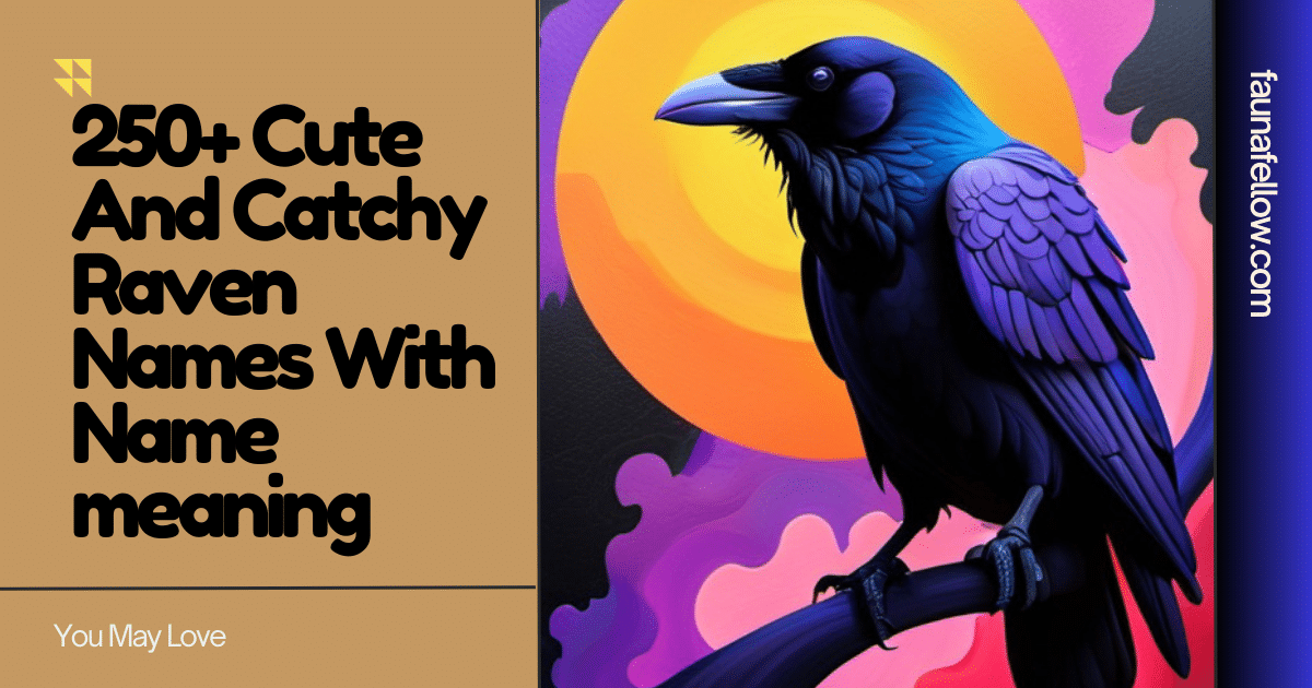 250+ Cute And Catchy Raven Names With Name meaning