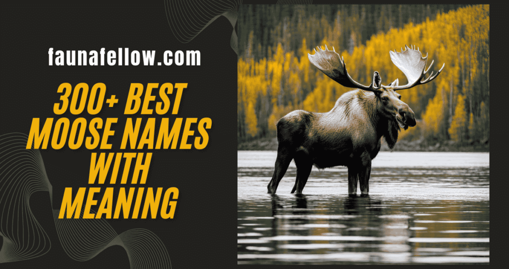 300+ Best Moose Names with Meaning