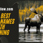 300+ Best Moose Names with Meaning