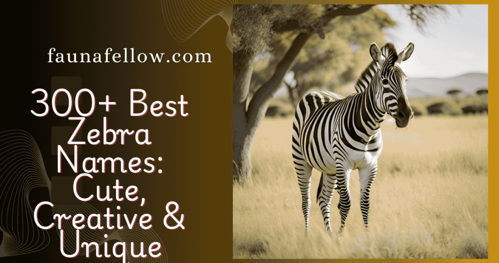 300+ Best Zebra Names: Cute, Creative & Unique