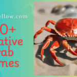 "300+ Creative Crab Names