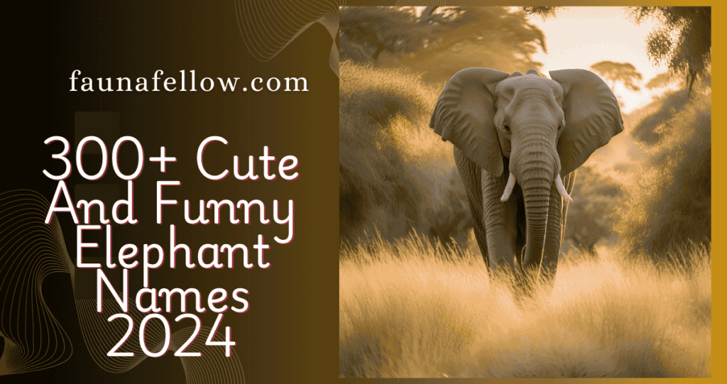 300+ Cute And Funny Elephant Names 2024