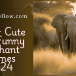 300+ Cute And Funny Elephant Names 2024