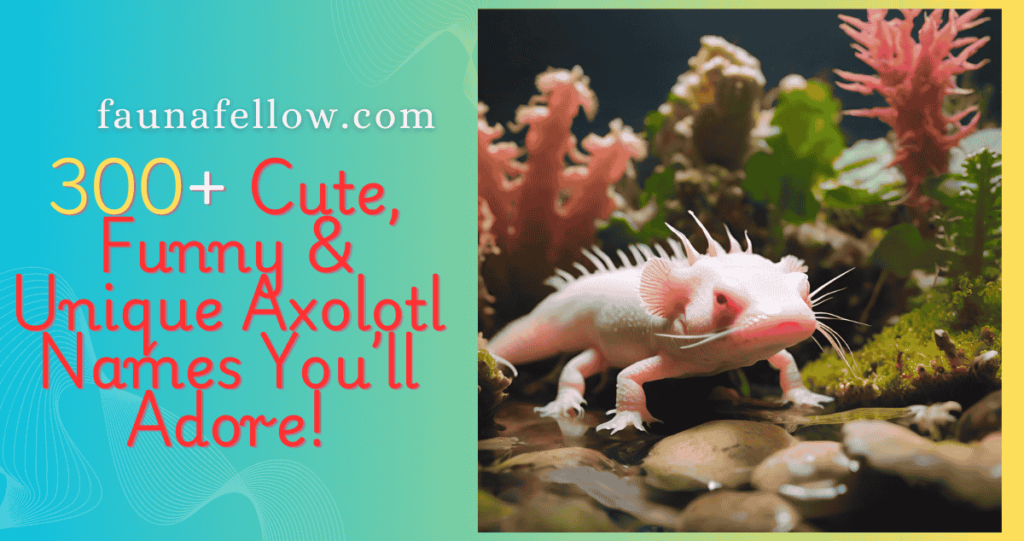 300+ Cute, Funny & Unique Axolotl Names You’ll Adore!