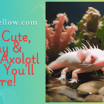 300+ Cute, Funny & Unique Axolotl Names You’ll Adore!