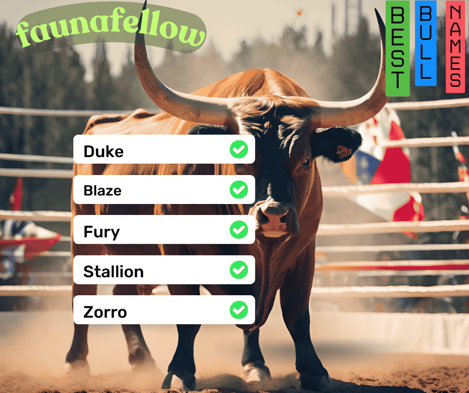 Best Bull Names