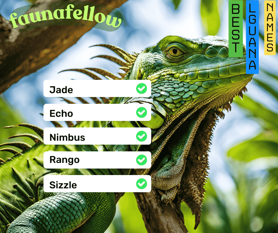 Best Iguana Names