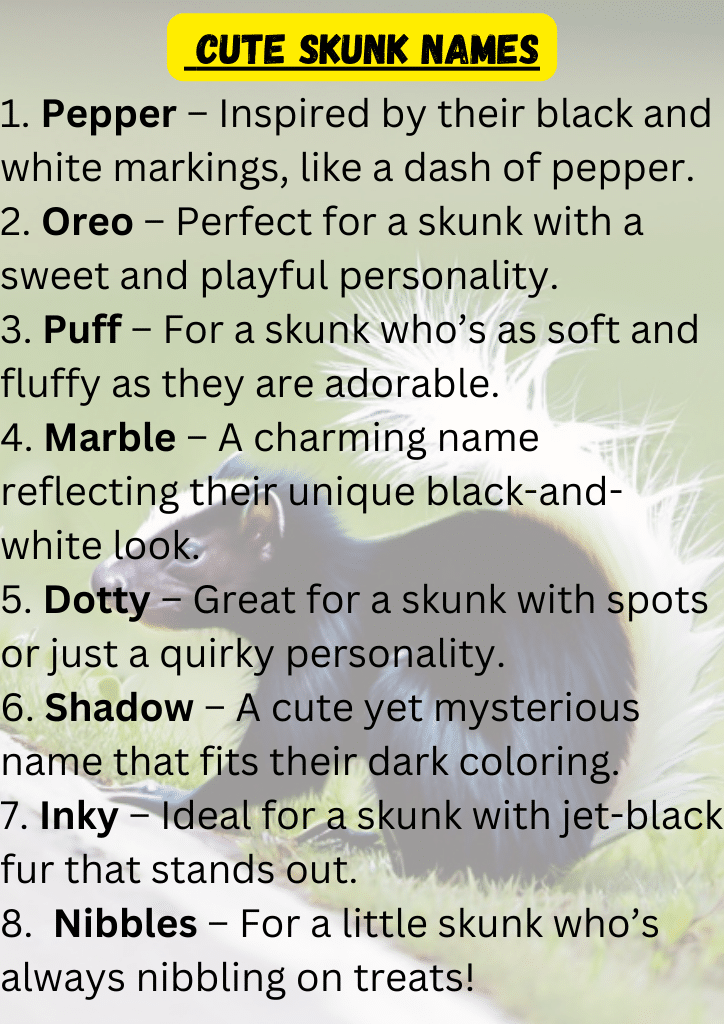 Best Skunk Names