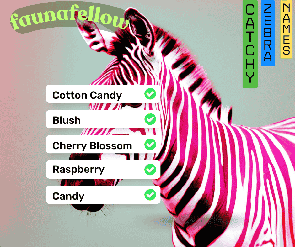 Catchy Pink Zebra names