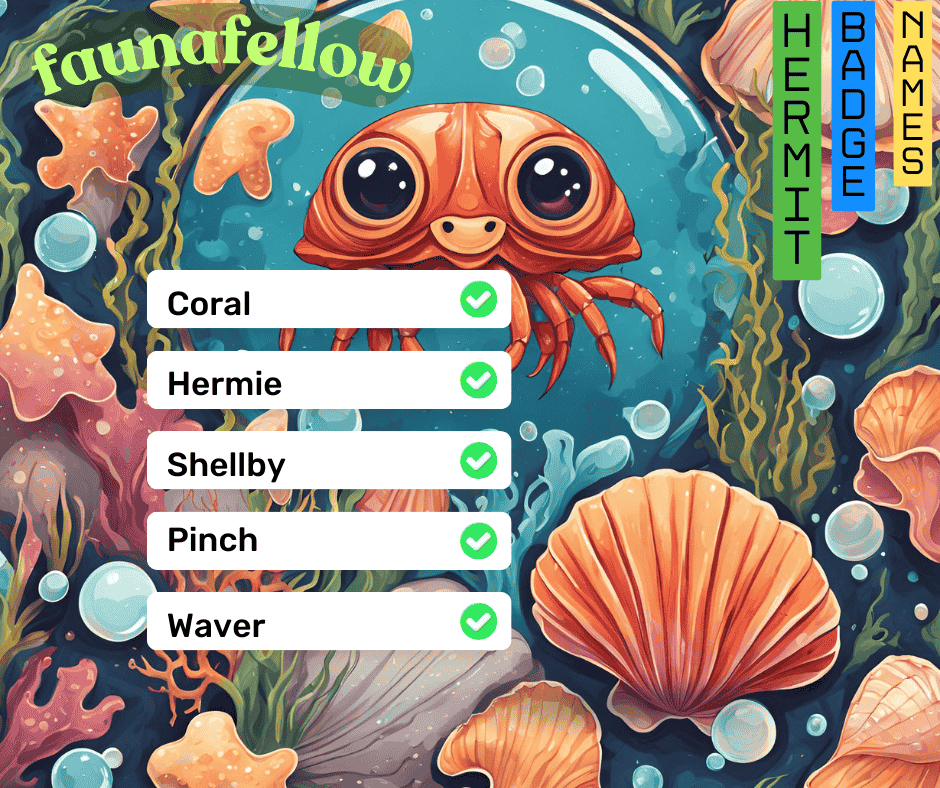 Cute Hermit Crab badge  Names