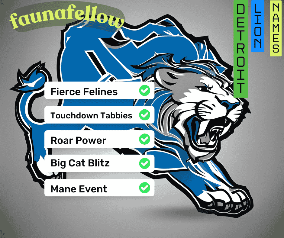 Detroit Lions Fantasy Football Names