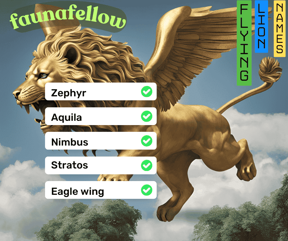 Flying Lion Name