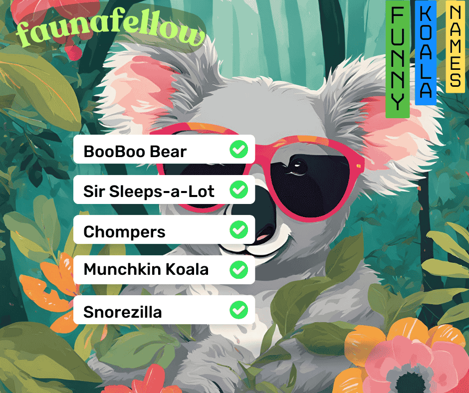 funny koala names