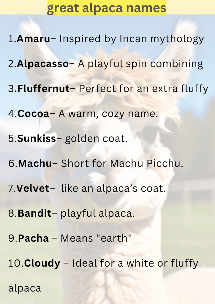 Good Alpaca Names