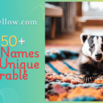 "Top 250+ Badger Names: Funny, Unique & Adorable Ideas for Your Pet!"