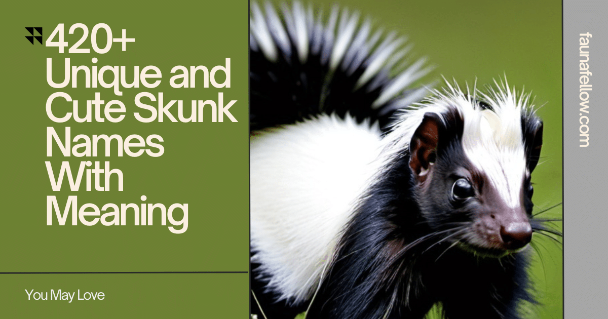 Unique and Cute Skunk Names With Meaning