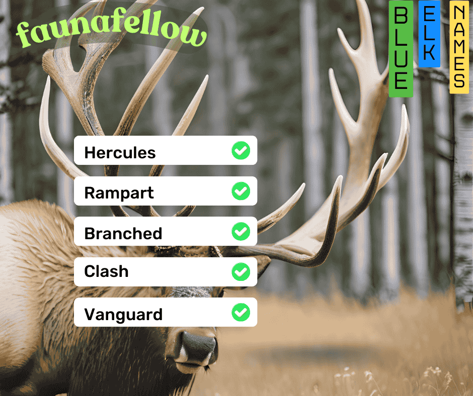 Bull Elk Antler Names