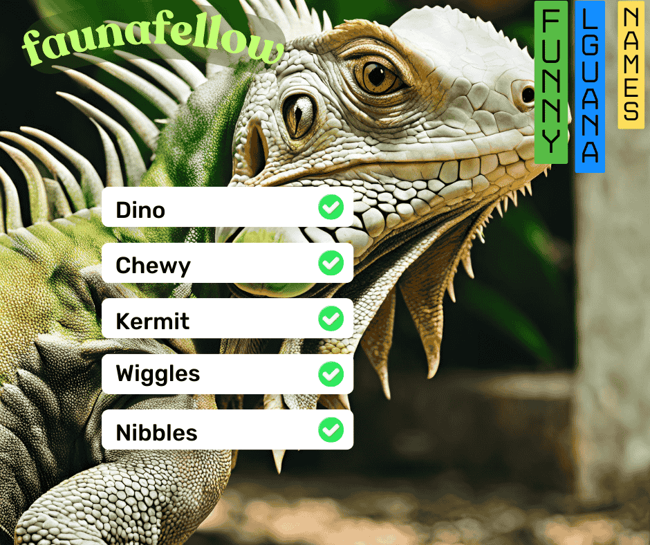 Funny Iguana Names